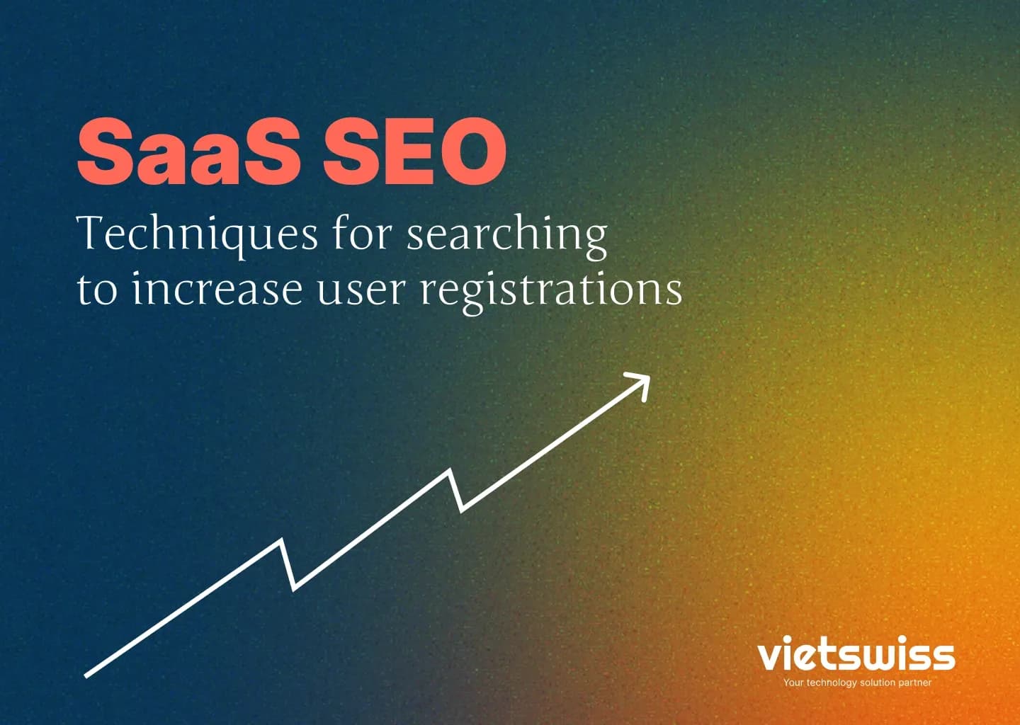 vietswiss - agency - website development - saas seo